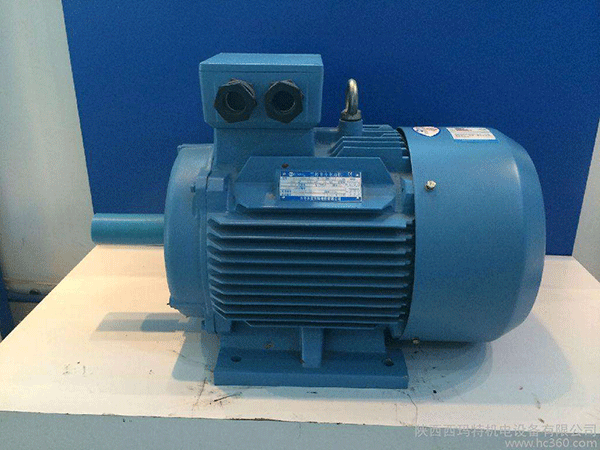 高效節(jié)能電機是西安泰富西瑪未來商業(yè)發(fā)展的方向。