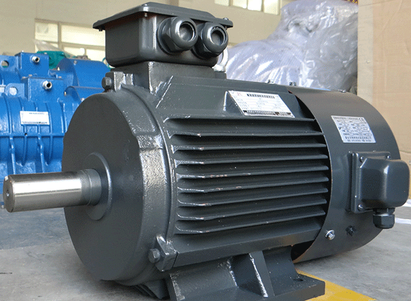 西安西瑪感應(yīng)式電機(jī)逆時(shí)針輸入工作負(fù)荷采集。