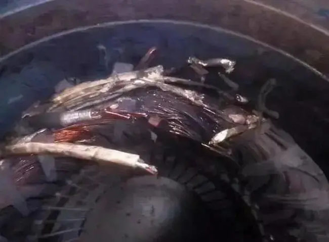 帶熱繼電器保護的電機頻繁燒毀的原因是什么？